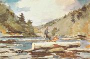Winslow Homer Hudson River, Logging USA oil painting reproduction